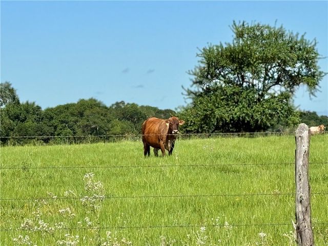 6458 Scenic View Trail, Bryan, TX 77808
