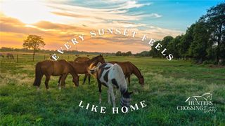 6458 Scenic View Trail, Bryan, TX 77808