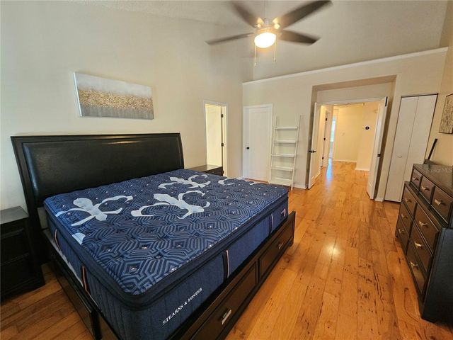 14504 BRAMBIE COURT, Tampa, FL 33624