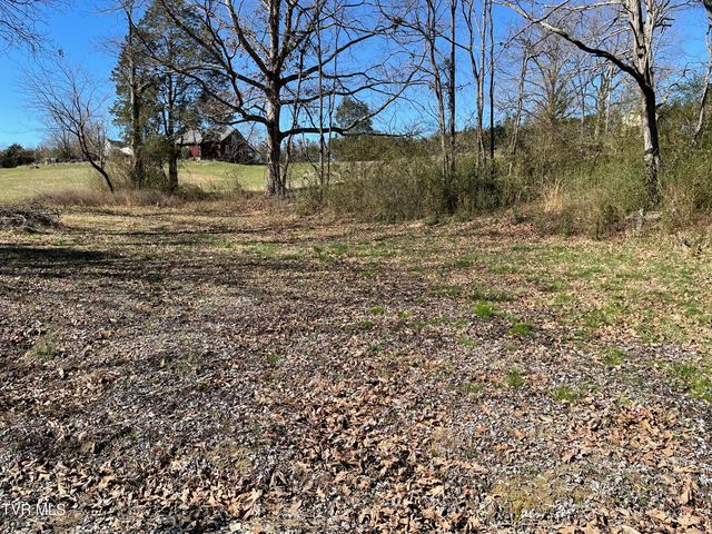 229 Grigsby School Road, Rogersville, TN 37857