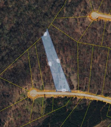 390 Volunteer Street, Jasper, TN 37347
