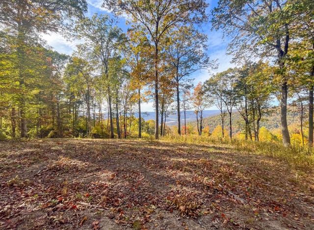 390 Volunteer Street, Jasper, TN 37347