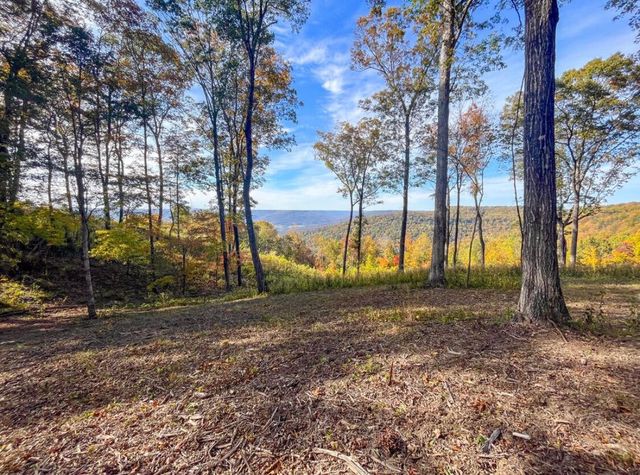 390 Volunteer Street, Jasper, TN 37347