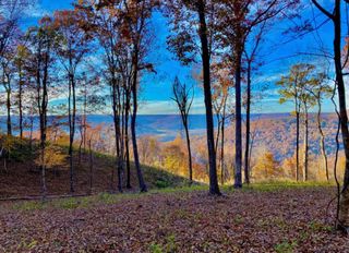390 Volunteer Street, Jasper, TN 37347