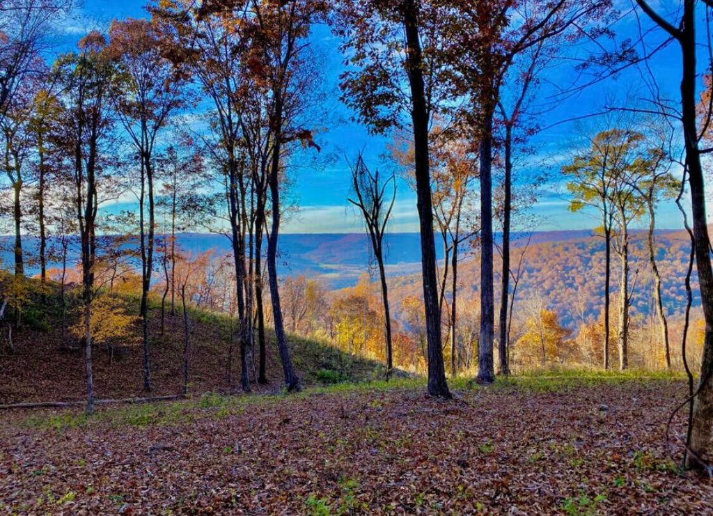390 Volunteer Street, Jasper, TN 37347