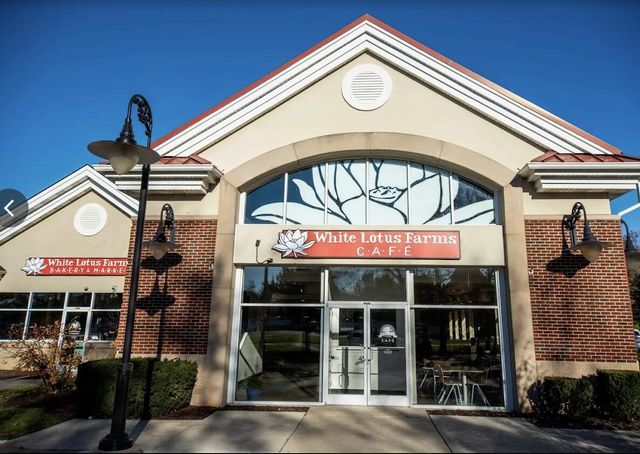 273 Scio Village Court 243, Ann Arbor, MI 48103
