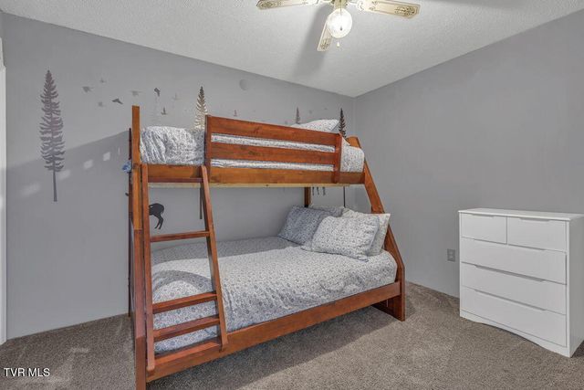 520 Hospital Hill Lane, Mountain City, TN 37683