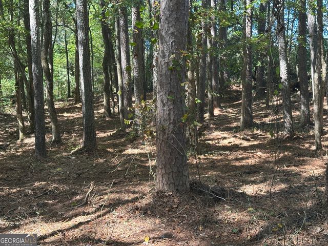 2530 Roper Road, Cumming, GA 30028