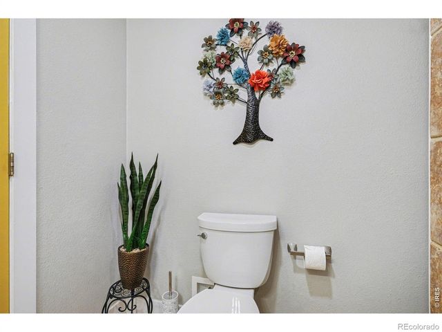 3738 Henderson Avenue, Wellington, CO 80549