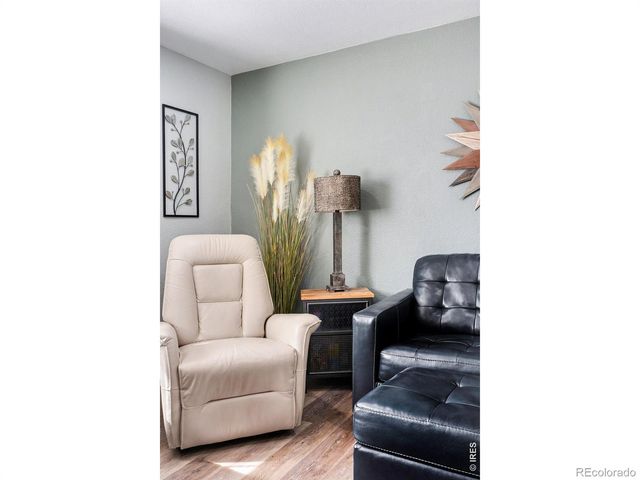 3738 Henderson Avenue, Wellington, CO 80549