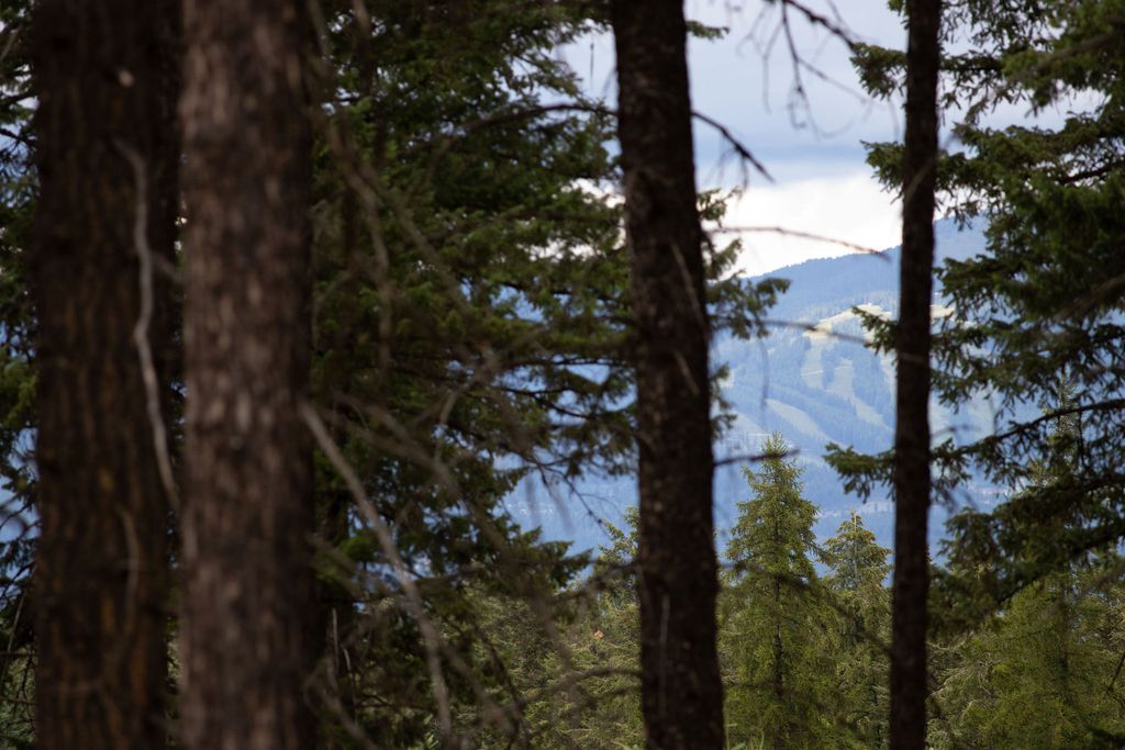 Image 1 of property listing at 149 Rosewood Lane Lot 8, Whitefish, MT 59937