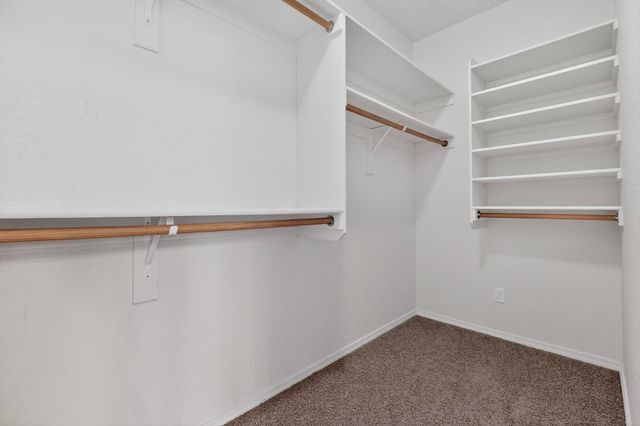 6557 Cliff Dweller Road NW, Albuquerque, NM 87114