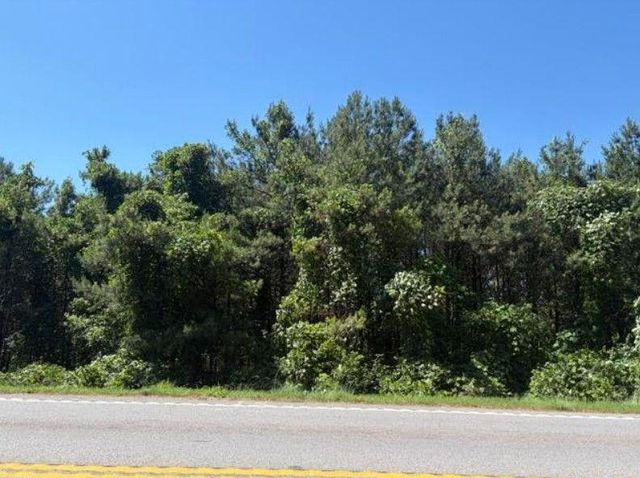 7059 Hwy 81 - Tract 3, Monroe, GA 30656