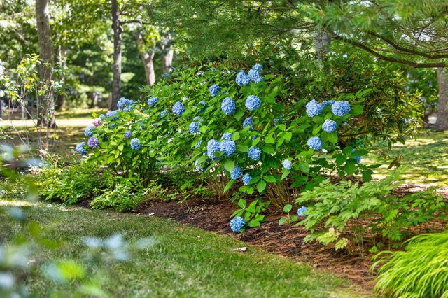2 Huckleberry Drive, Orleans, MA 02653