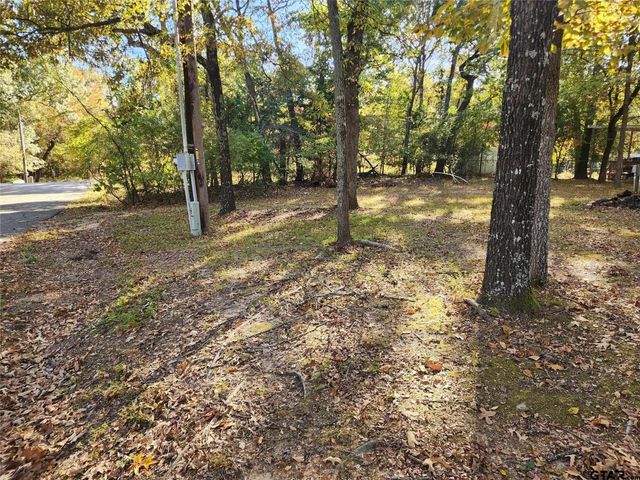 Lots154 155 156 Sun Eagle Bay, Yantis, TX 75497