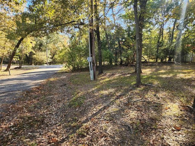 Lots154 155 156 Sun Eagle Bay, Yantis, TX 75497