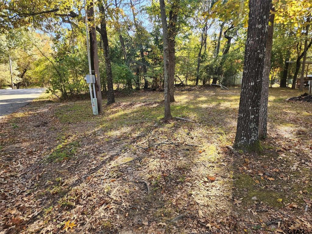 Lots154 155 156 Sun Eagle Bay, Yantis, TX 75497