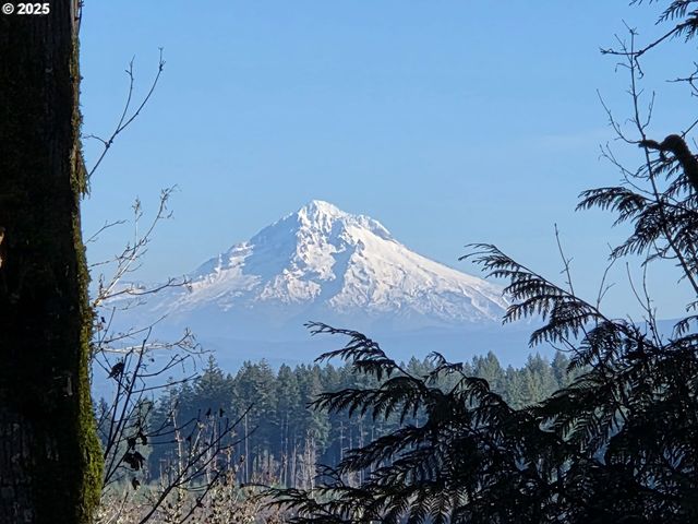 19636 S RIDGE Rd, Oregon City, OR 97045