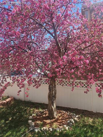 2244 Saint Paul Drive, Colorado Springs, CO 80910