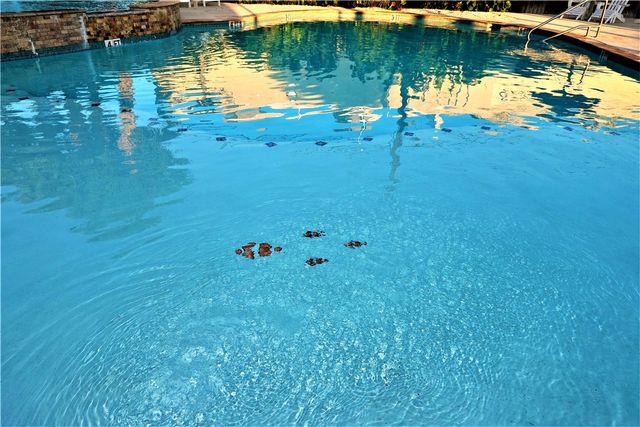 15101 Beach Country Dr, Corpus Christi, TX 78418