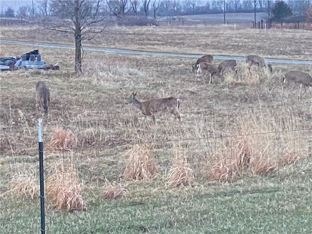 9530 Caldwell Road, Kidder, MO 64649