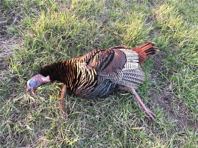 9530 Caldwell Road, Kidder, MO 64649