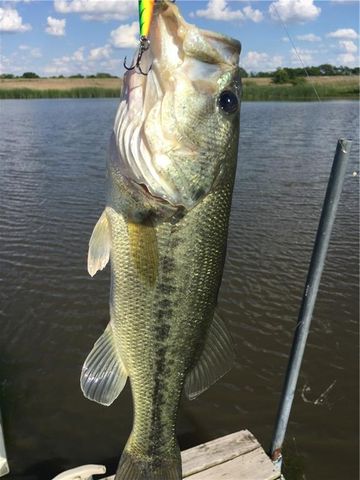 9530 Caldwell Road, Kidder, MO 64649