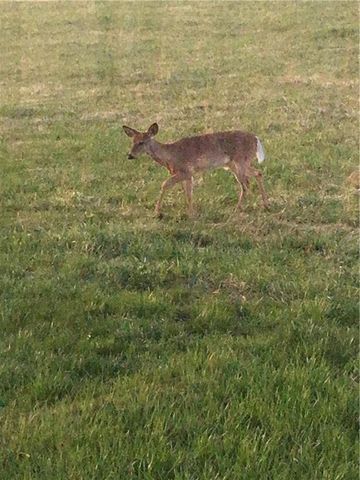 9530 Caldwell Road, Kidder, MO 64649