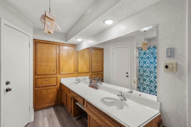 19602 Dianeshire Drive, Spring, TX 77388