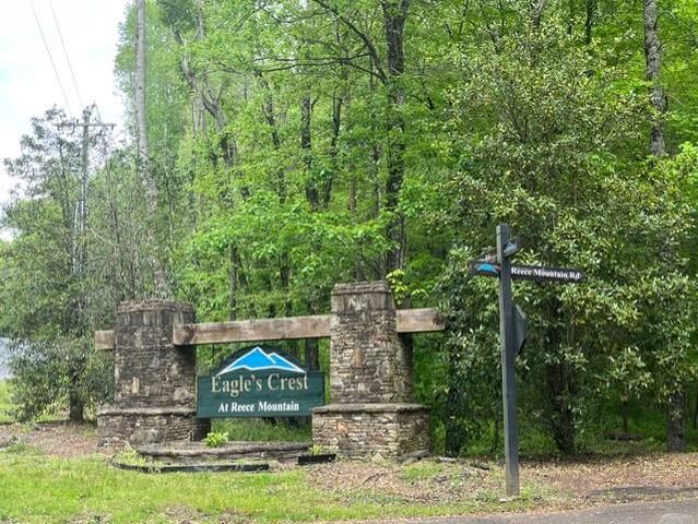 Lot 60 Cartecay View Lane, Ellijay, GA 30536