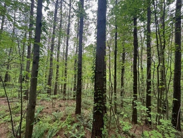 Lot 60 Cartecay View Lane, Ellijay, GA 30536