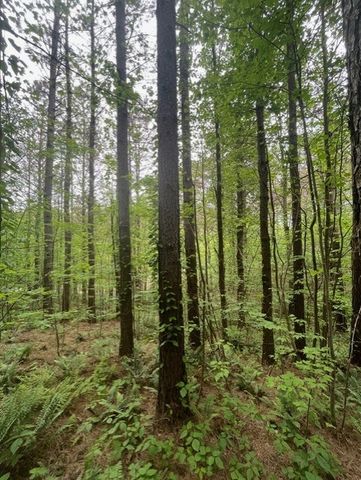 Lot 60 Cartecay View Lane, Ellijay, GA 30536