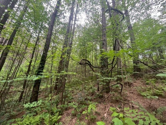 Lot 60 Cartecay View Lane, Ellijay, GA 30536