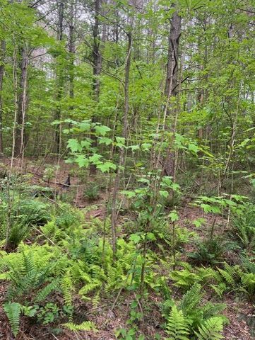 Lot 60 Cartecay View Lane, Ellijay, GA 30536