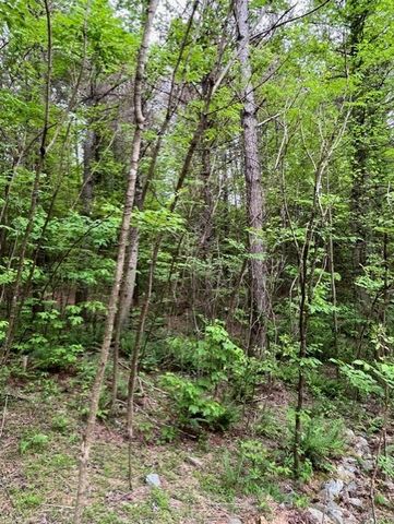 Lot 60 Cartecay View Lane, Ellijay, GA 30536