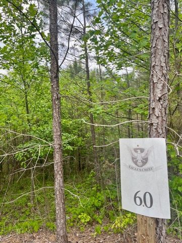 Lot 60 Cartecay View Lane, Ellijay, GA 30536