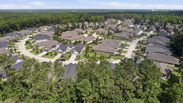 115 Lukewood Circle, Willis, TX 77318