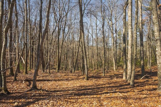 494 Soapstone Hill RD, Floyd, VA 24091