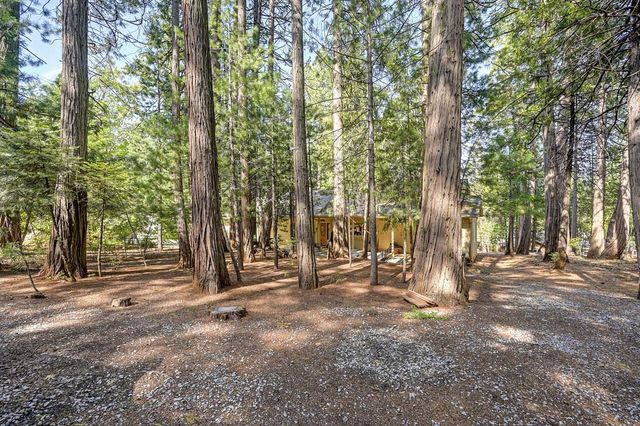 25917 Mount Misery Ln, Pioneer, CA 95666