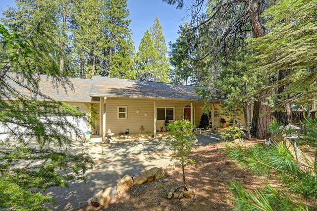 25917 Mount Misery Ln, Pioneer, CA 95666