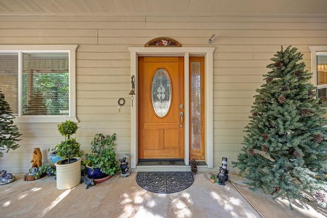 25917 Mount Misery Ln, Pioneer, CA 95666