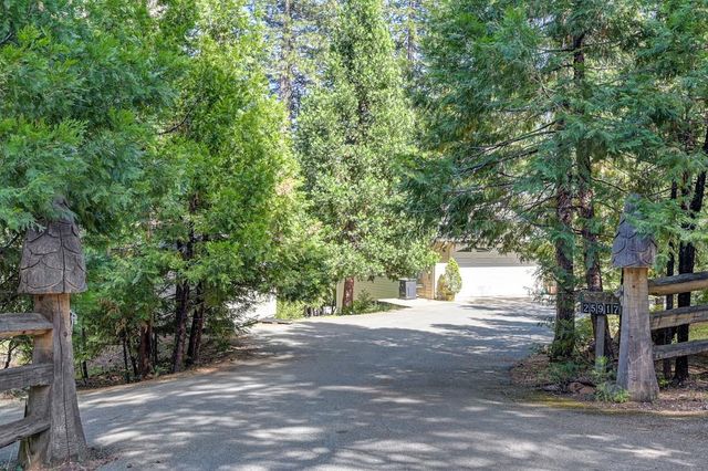 25917 Mount Misery Ln, Pioneer, CA 95666