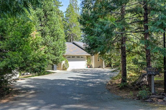 25917 Mount Misery Ln, Pioneer, CA 95666