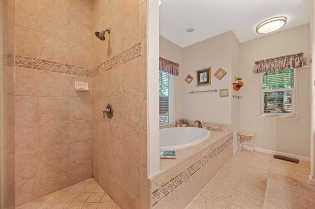 25917 Mount Misery Ln, Pioneer, CA 95666