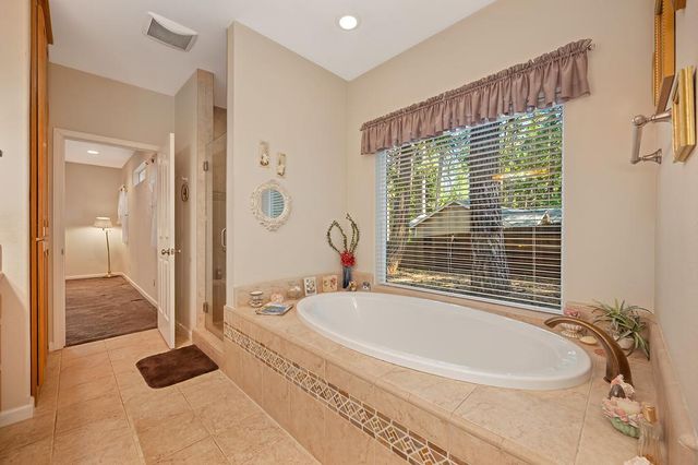25917 Mount Misery Ln, Pioneer, CA 95666