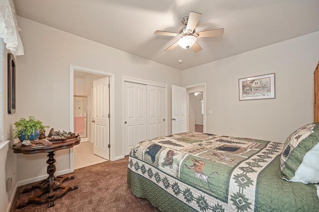 25917 Mount Misery Ln, Pioneer, CA 95666