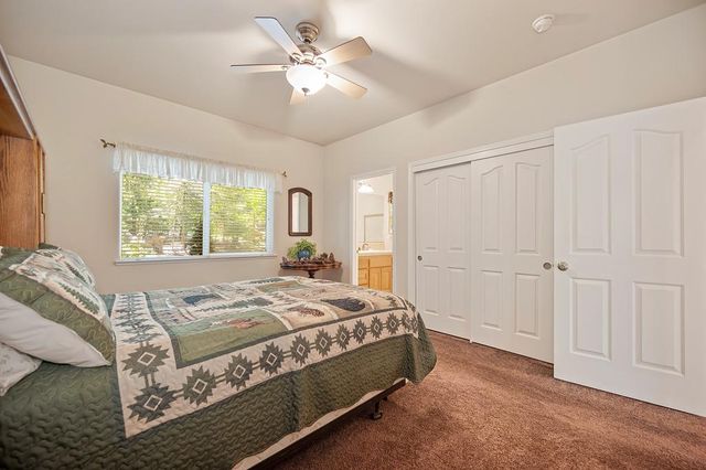 25917 Mount Misery Ln, Pioneer, CA 95666