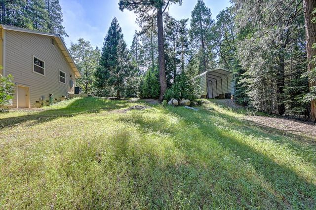 25917 Mount Misery Ln, Pioneer, CA 95666