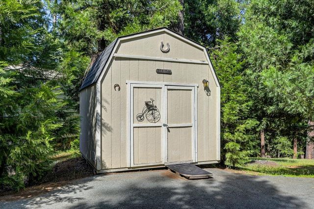 25917 Mount Misery Ln, Pioneer, CA 95666