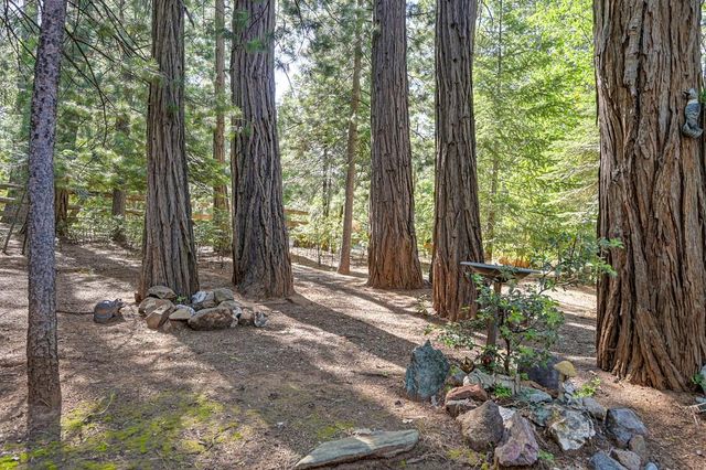 25917 Mount Misery Ln, Pioneer, CA 95666